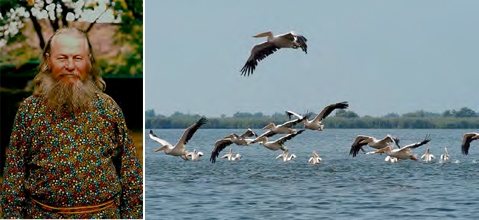 Danube Delta
